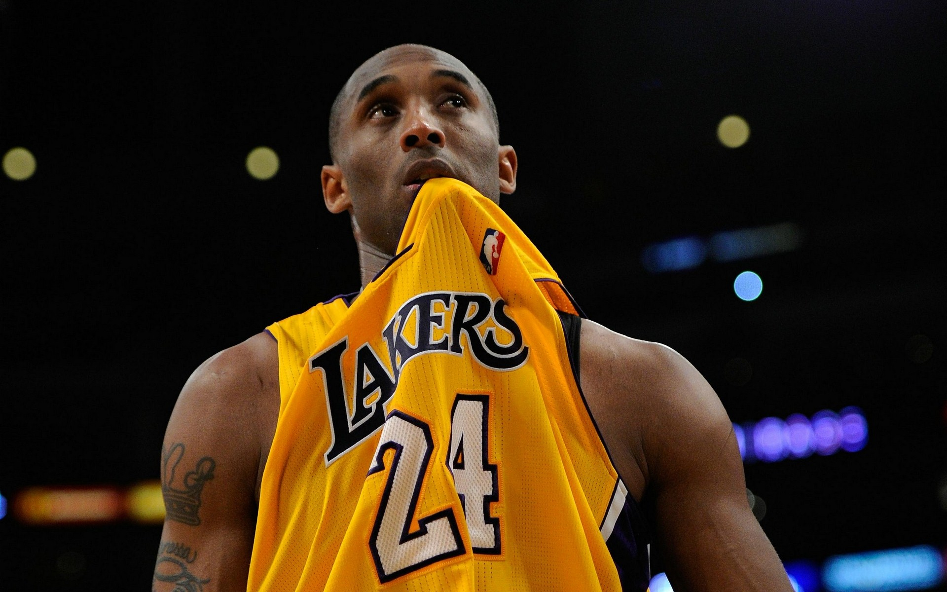 一个显著的 一个显著的